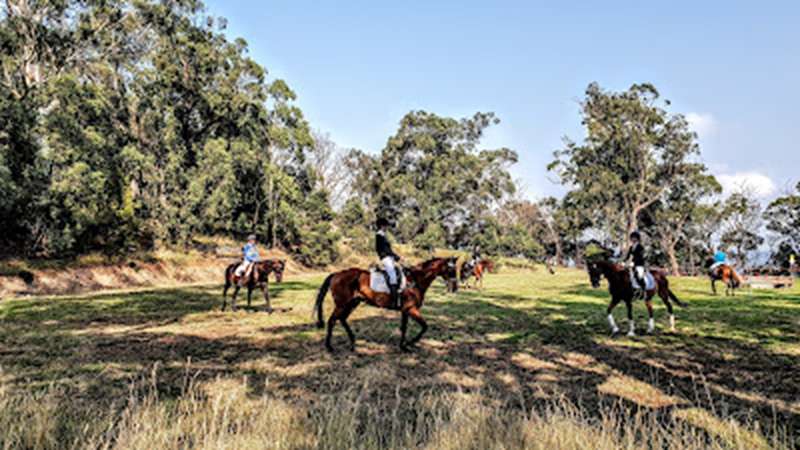 Pakenham Pony Club (Pakenham)