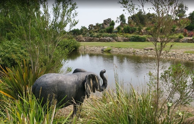 Panorama Wildlife Sanctuary and Secret Gardens (Boneo)