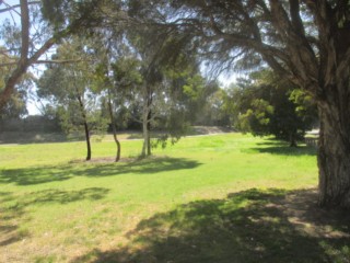 Park Reserve Dog Off Leash Area (Doncaster)