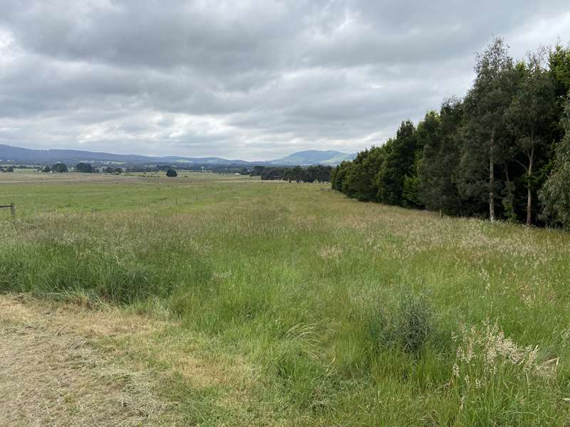 Park Street Road Reserve Dog Off Leash Area (Lancefield)