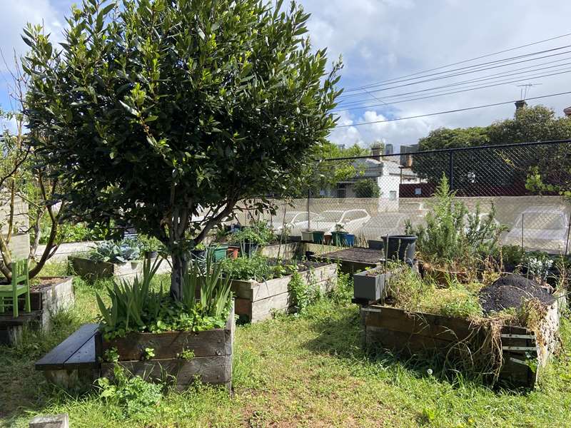 Park Towers Community Garden (South Melbourne)