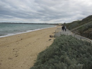 Parkdale Beach Dog Off Leash Area (Parkdale)