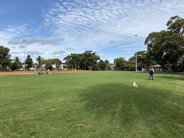 Peanut Farm Reserve Dog Off Leash Area (St Kilda)