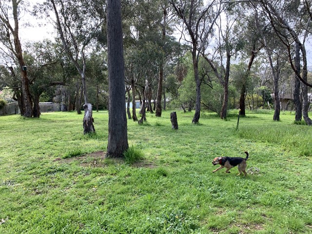 Pecks Dam Reserve Dog Off Leash Area (Montmorency)