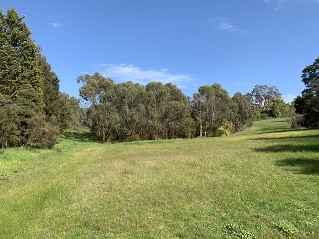 Penderel Reserve Dog Off Leash Area (Wonga Park)