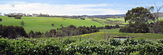 Murroon - Pennyroyal Raspberry Farm