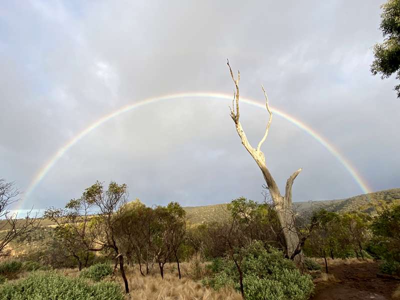 Pentland Hills - Werribee Gorge Circuit Walk