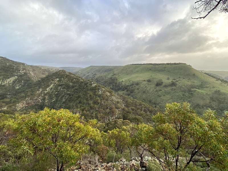 Pentland Hills - Werribee Gorge Circuit Walk