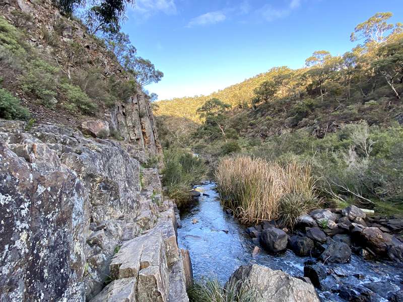 Pentland Hills - Werribee Gorge Circuit Walk