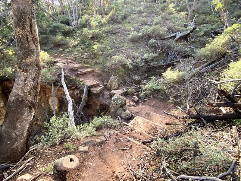 Pentland Hills - Werribee Gorge Circuit Walk