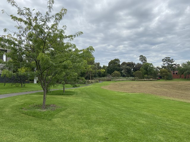 Percy Treyvaud Memorial Park Dog Off Leash Area (Malvern East)