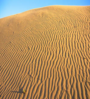 Wentworth - Perry Sand Hills