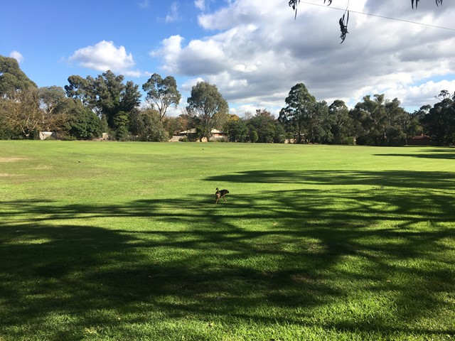 Peter Vergers Reserve Dog Off Leash Area (Ringwood)