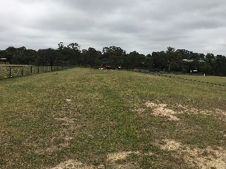 Pettys Reserve Dog Off Leash Area (Templestowe)