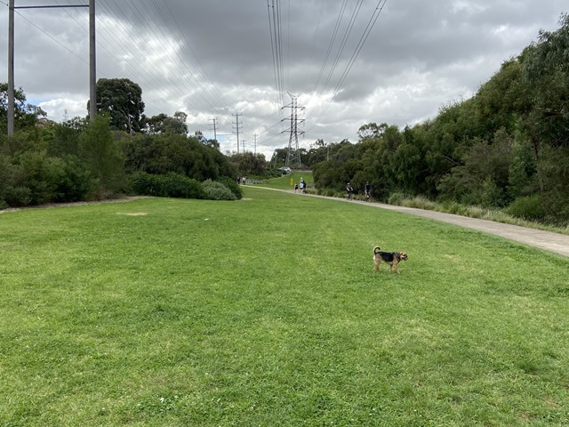 Phillips Reserve Dog Off Leash Area (Brunswick East)