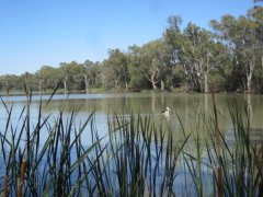 Mildura - Picnic Spots in Mildura and Surrounding District