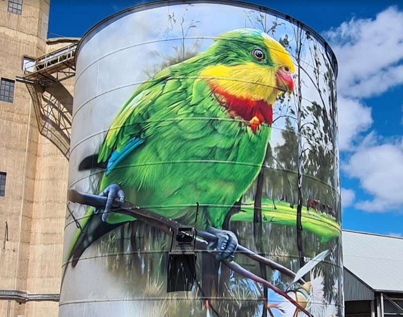 Picola Silo Art