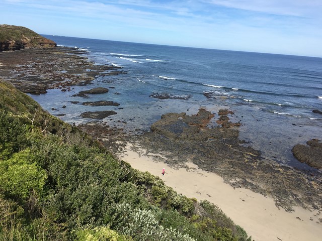 Pilot Station Beach (Flinders)