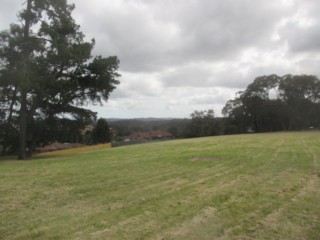 Pine Hill Reserve Dog Off Leash Area (Doncaster East)