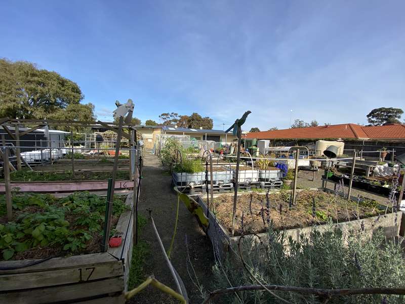 Pines Patch Community Garden (Frankston North)