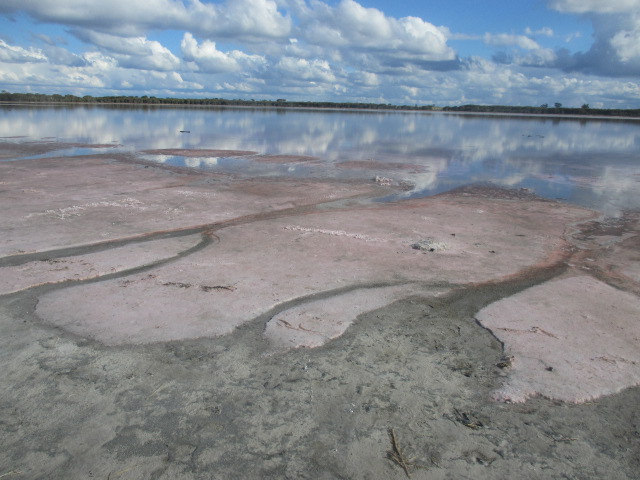 Pink Lake, Dimboola