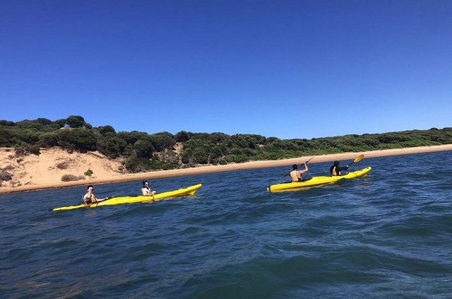 Pioneer Kayaking (Phillip Island)