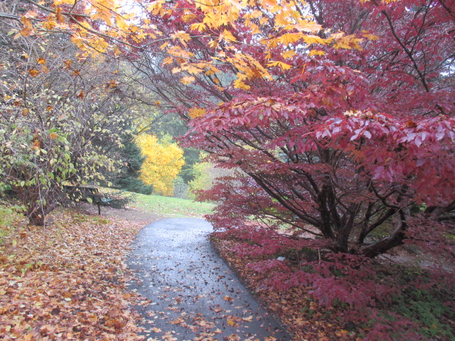 Pirianda Garden