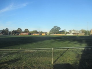 Pitcher Park Dog Off Leash Area (Alphington)