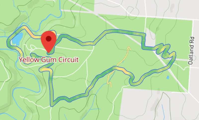 Plenty Gorge Yellow Gum Circuit Walk (Plenty)