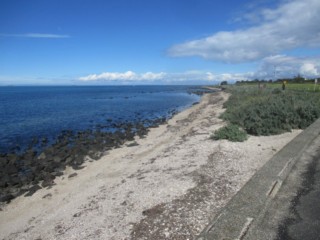 Point Gellibrand Beach (Williamstown)