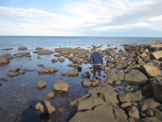 Point Gellibrand Rockpools