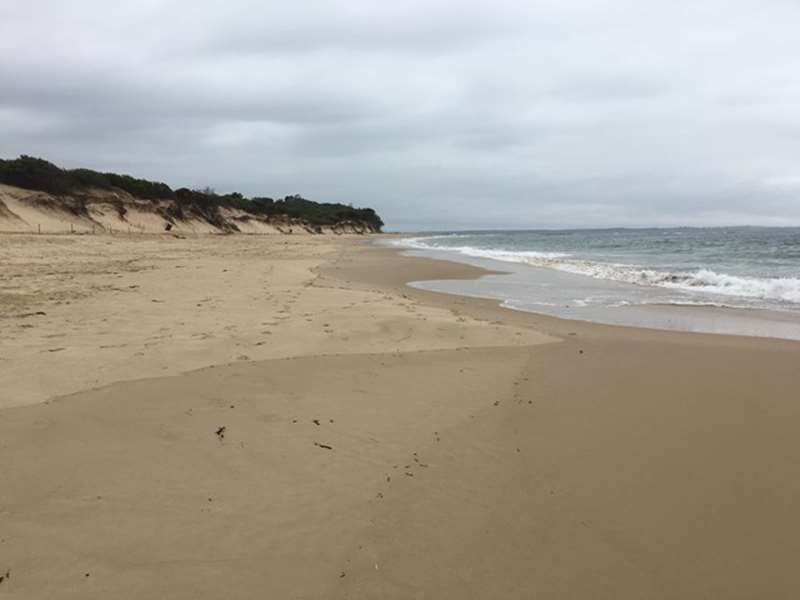 Point Leo Surf Beach