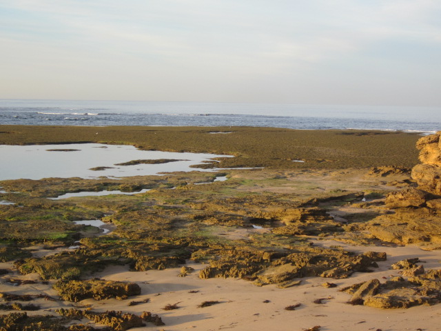 Point Lonsdale Rockpools