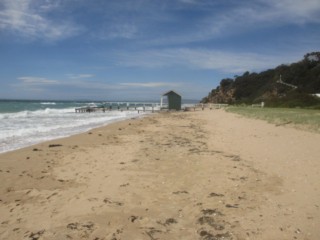 Point Macarthur Beach (Portsea)