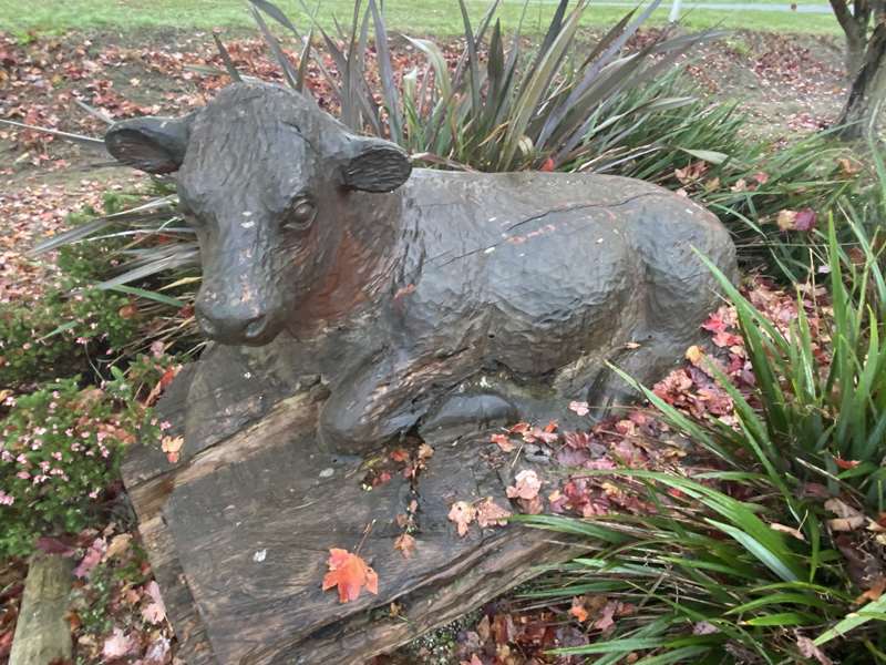 Poowong Sculpture Park & Lookout