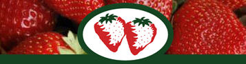 Portland Strawberries (Bolwarra)