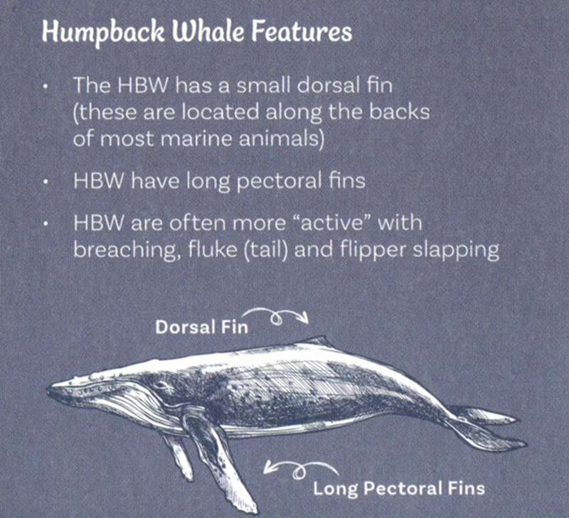 Portland Whale Trail Locations
