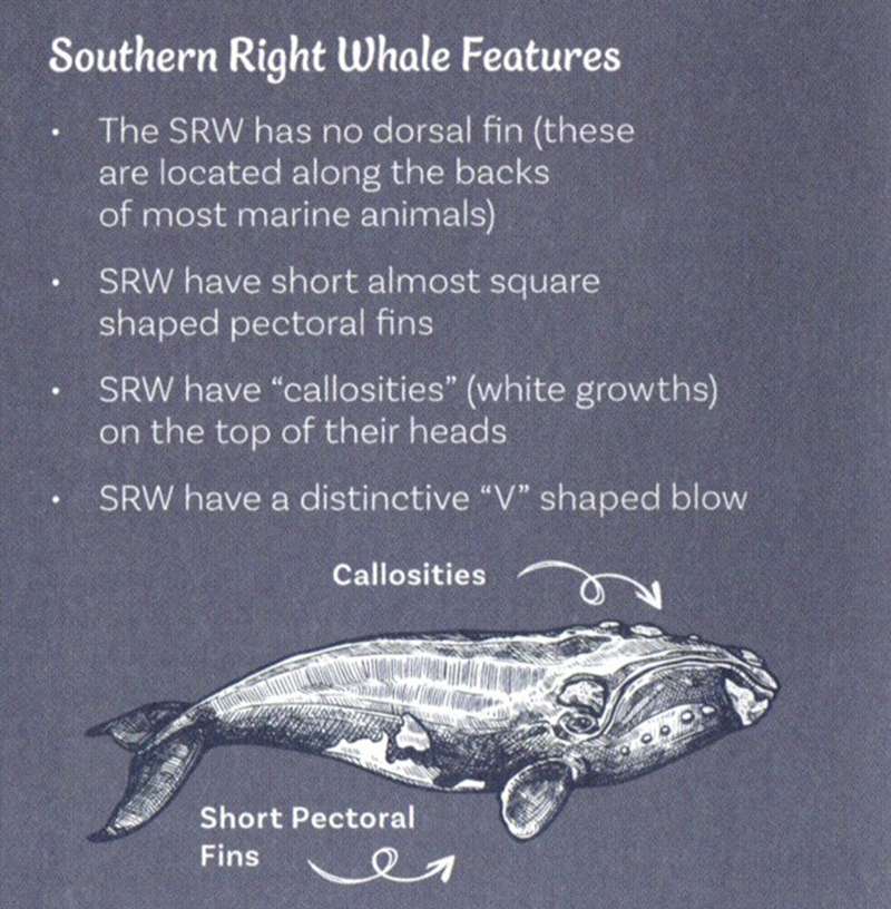 Portland Whale Trail Locations