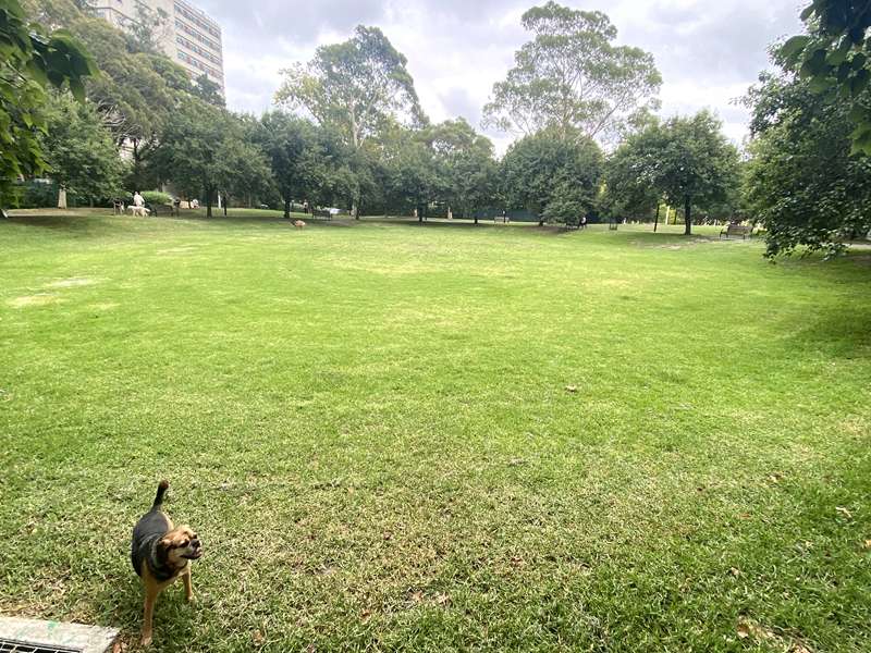 Princes Gardens Dog Off Leash Area (Prahran)