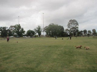 Princes Park Dog Off Leash Area (Caulfield South)