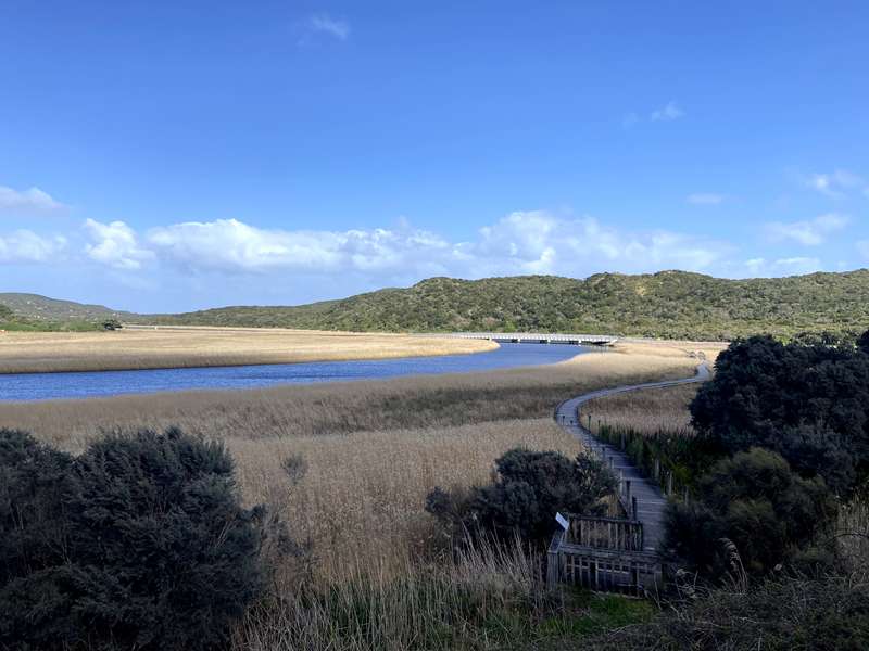 Princetown Wetlands Boardwalk