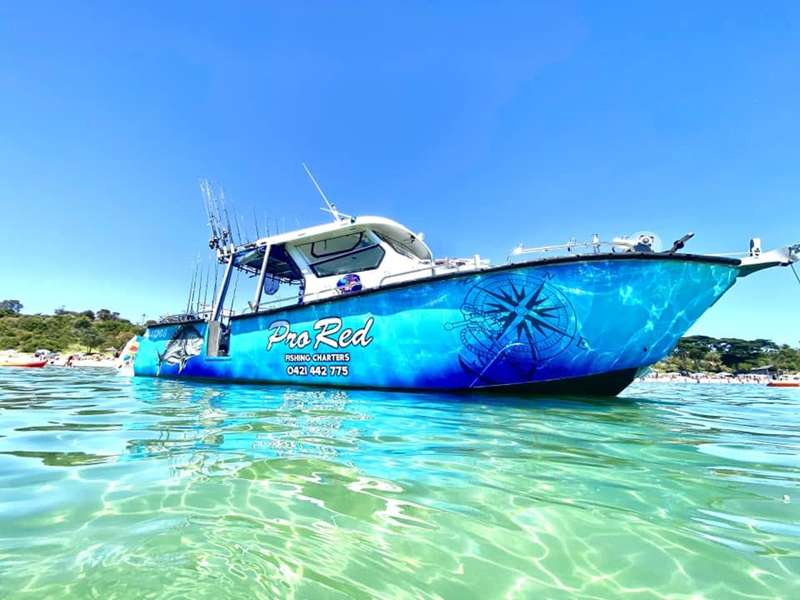 Pro Red Fishing Charters (Carrum)