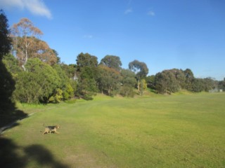 Proclamation Park Dog Off Leash Area (Ringwood)