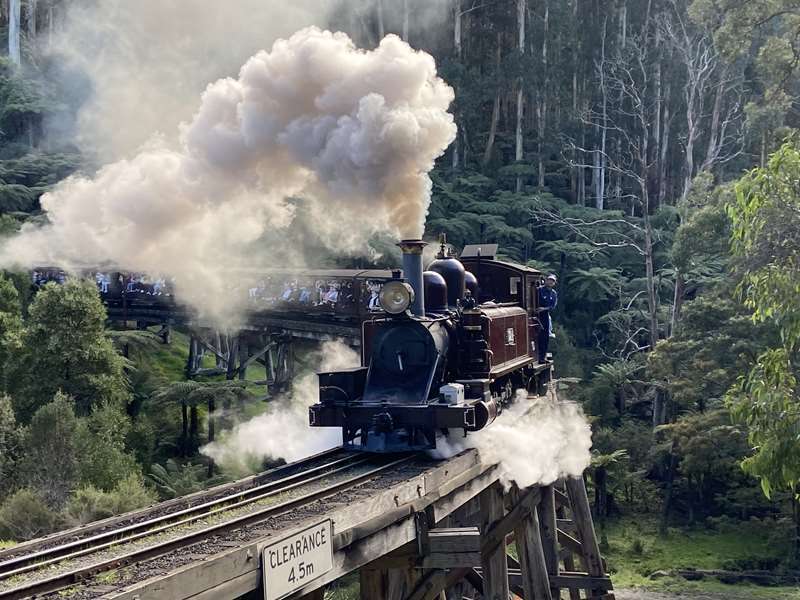 Monbulk Creek (Puffing Billy Trestle Bridge