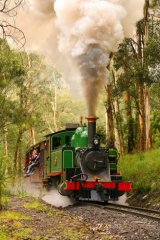 Puffing Billy (Belgrave)