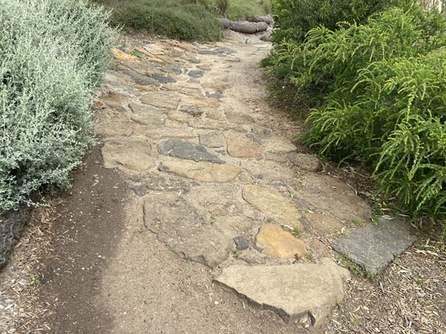 Quarry Park Mountain Bike Trails (Footscray)