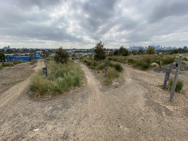 Quarry Park Mountain Bike Trails (Footscray)