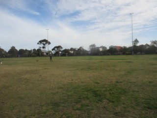 R J Sillitoe Reserve Dog Off Leash Area (Hampton)