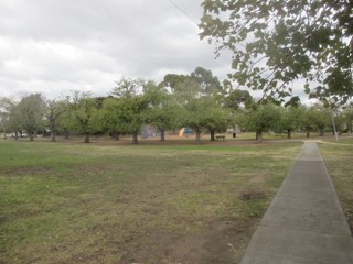 Raeburn Reserve Dog Off Leash Area (Pascoe Vale)