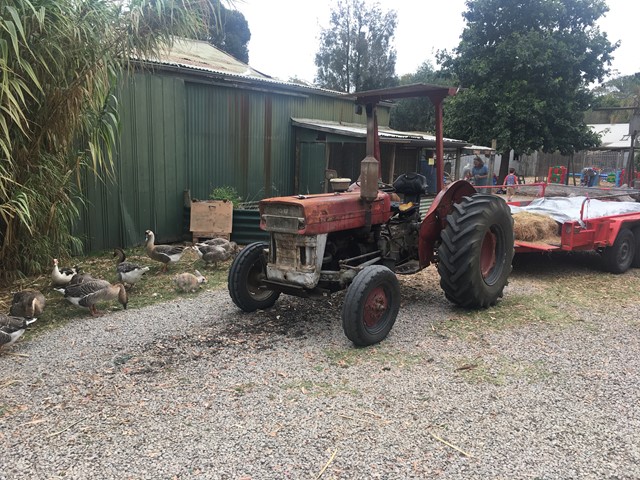 Rain, Hayne & Shine Farmyard (Balnarring)